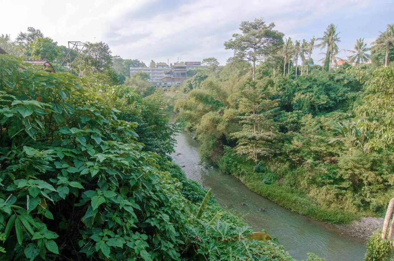 Vila Big Tree House Ubud 0*,
